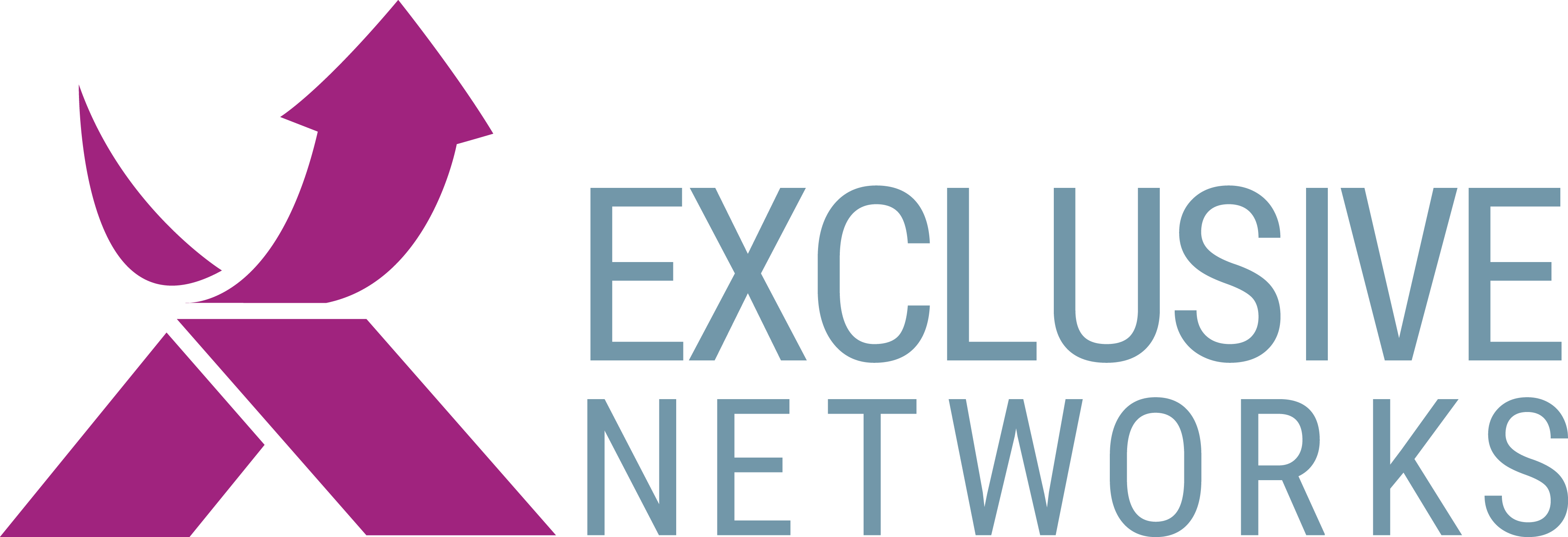Exclusive Networks Logo